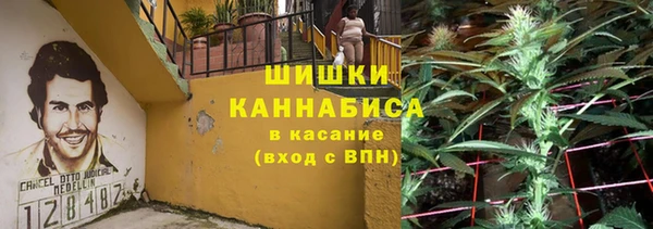 молекула духа Верхний Тагил