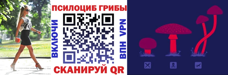 Купить где  Белёв  Галлюциногенные грибы мухоморы 