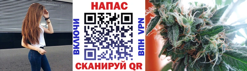 Конопля конопля Купить Белёв